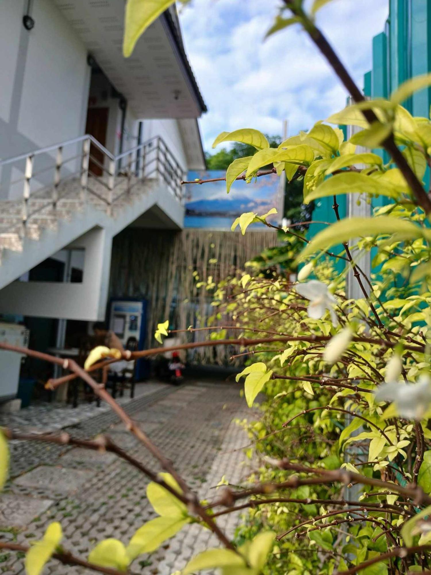 بيت شباب Sakura House شيانغ ماي المظهر الخارجي الصورة